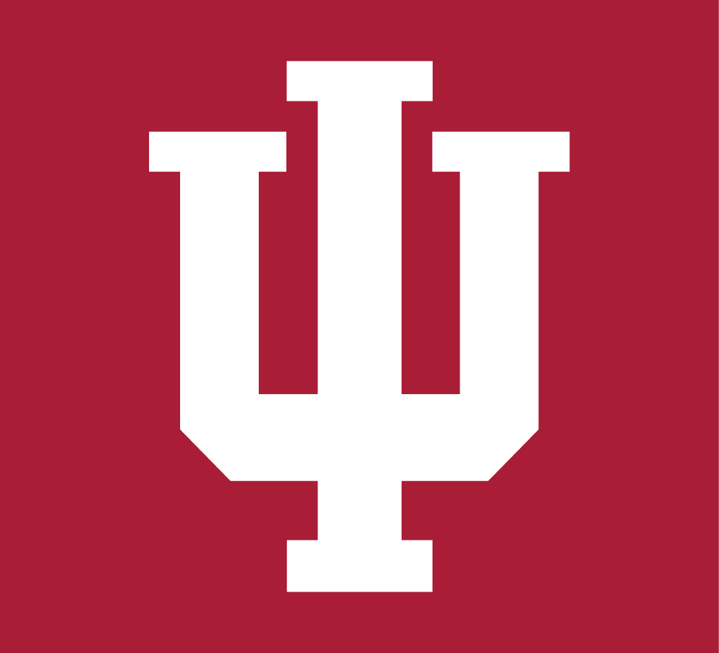 Indiana Hoosiers 2002-Pres Alternate Logo v2 diy iron on heat transfer